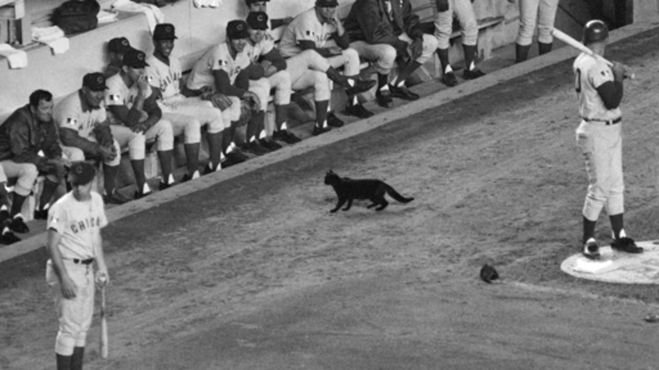 Exorcising the Cubs curse - and other baseball superstitions